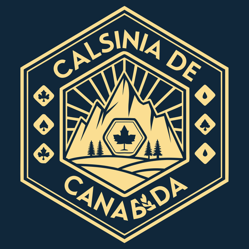Best Online Casinos Canada